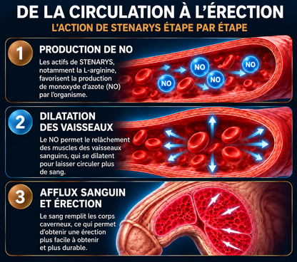 Compléments alimentaires pour la vigueur masculine